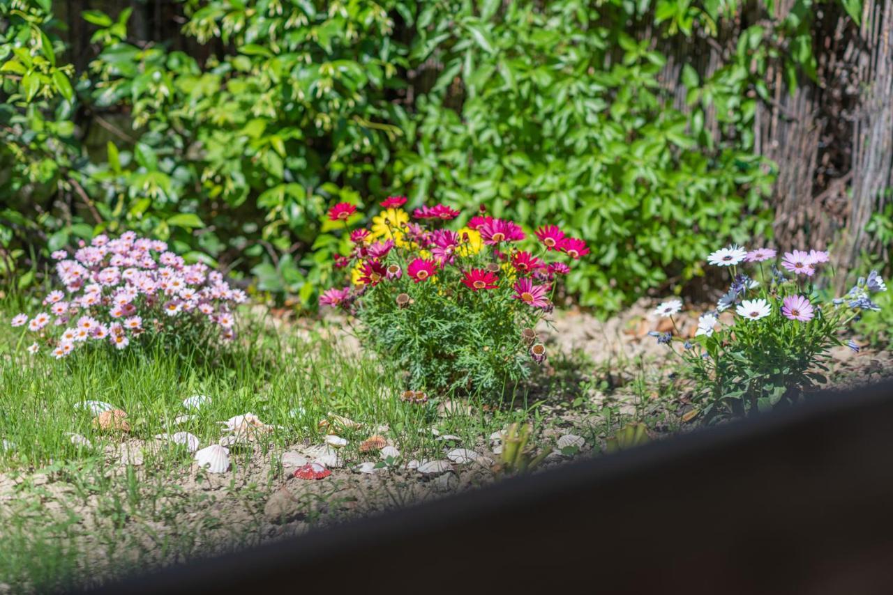 Villa Popi On The Beach Of Agios Gordios アギオス・ゴルディオス エクステリア 写真